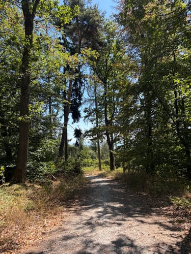 Friedrichsdorf nach Saalburg