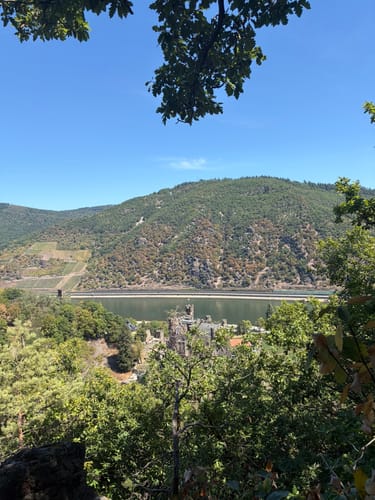 Bingen - Veitsberg - Burg Reichenstein