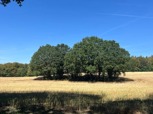 Grote Rivierenpad (E8) Etappe 15: Kranenburg – Kleve