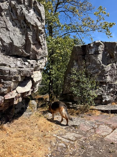 Kirschweiler Festung (Premiumwanderweg)