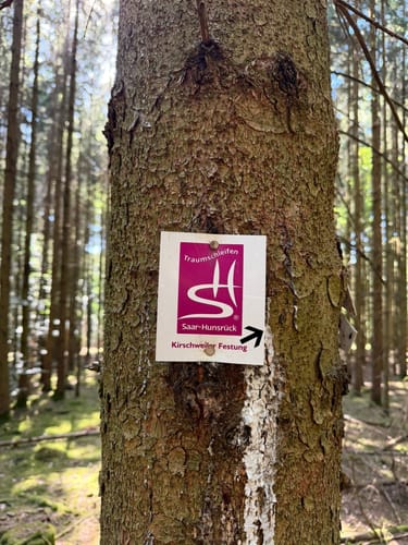 Kirschweiler Festung (Premiumwanderweg)