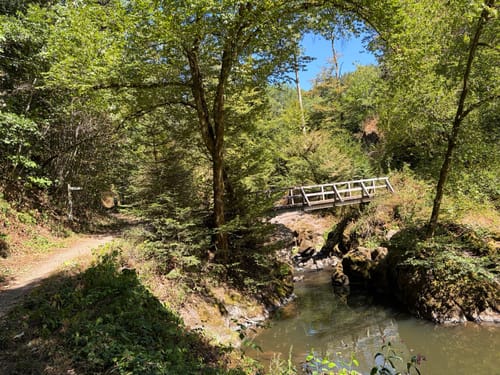 Von der Heidsmühle ins Liesertal