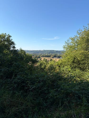 Natursteig Sieg Etappe 1: Siegburg - Hennef