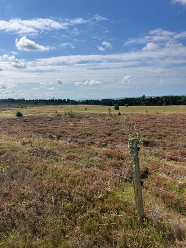 Naturpark Marbæk og Sjelborg Plantage
