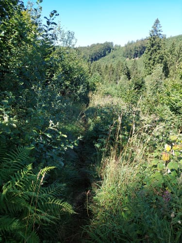 Hoher-Knochen-Weg N2
