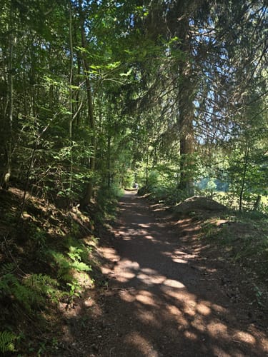 W1 Willingen - Mühlenkopfschanze