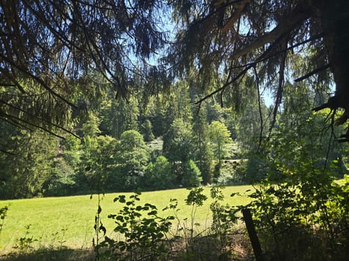 W1 Willingen - Mühlenkopfschanze