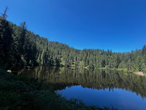 Glaswaldsee - Teufelskanzel - Südliche Griesbacher Wasserfälle