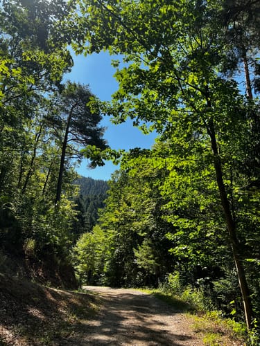 Glaswaldsee - Teufelskanzel - Südliche Griesbacher Wasserfälle