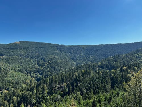 Glaswaldsee - Teufelskanzel - Südliche Griesbacher Wasserfälle