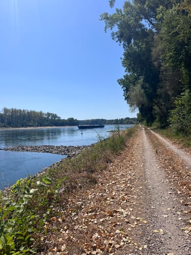 Treidlerweg (Premiumwanderweg)
