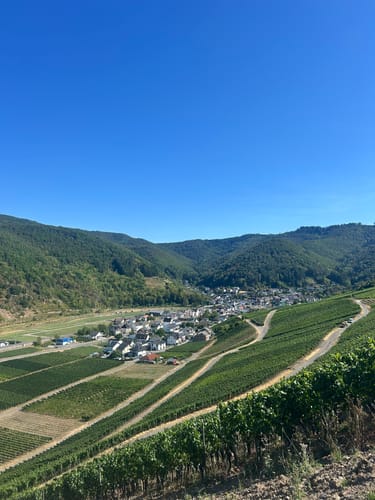 Rotweinwanderweg von Altenahr nach Dernau