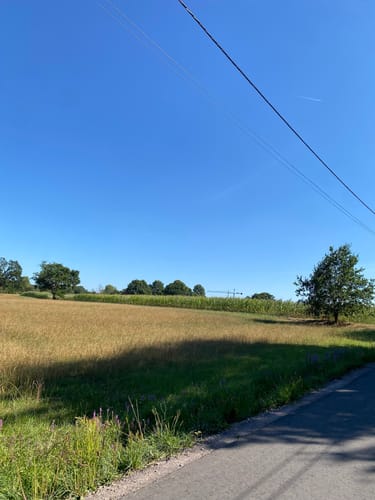 Dinslaken: Spaziergang durch das Rotbachtal