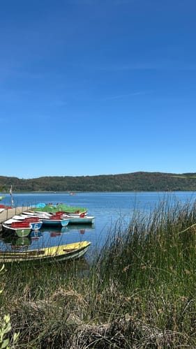 Rundweg um den Laacher See