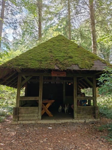Burg Hohennagold und Wald zwischen Nagold und Waldach