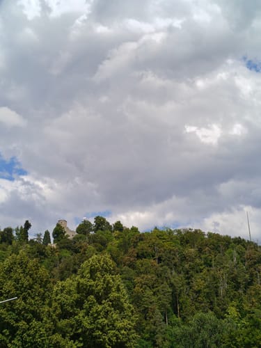 Burg Hohennagold und Wald zwischen Nagold und Waldach
