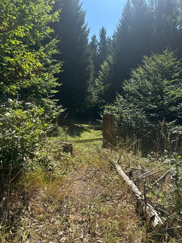 Rund um den Großen Inselberg
