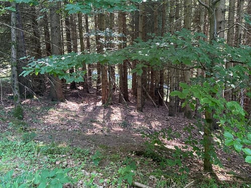 Rund um den Großen Inselberg