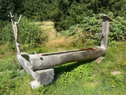 Rund um den Großen Inselberg