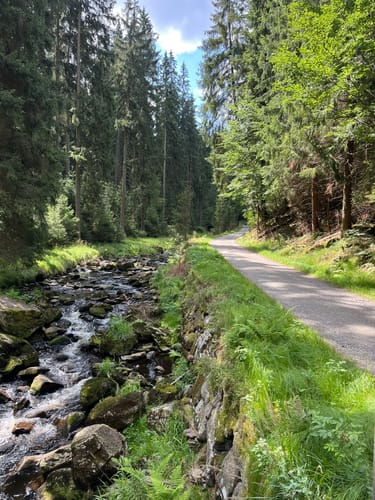 Wanderung im Schwarzwassertal