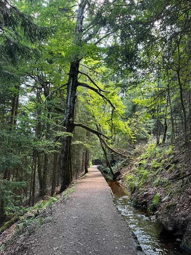 Wanderung im Schwarzwassertal