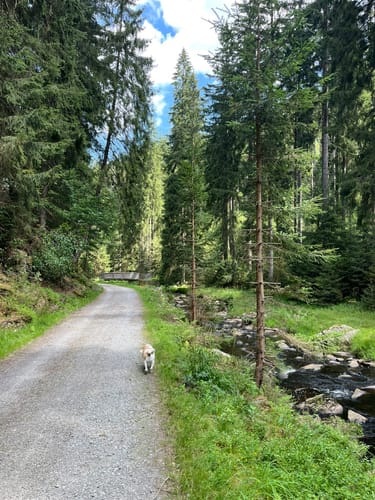 Wanderung im Schwarzwassertal