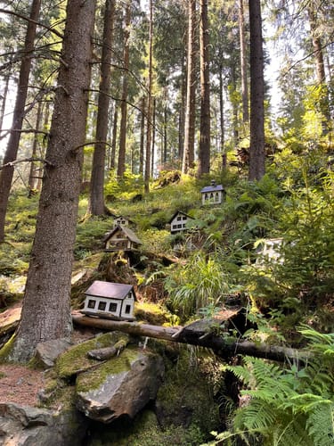Wanderung im Schwarzwassertal