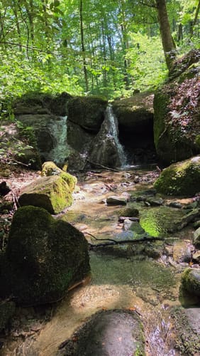 Teufelsschlucht und Keltenhöhle Rundweg