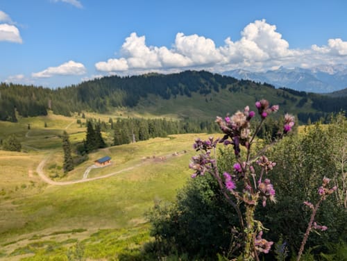 Riedberger Horn Rundweg