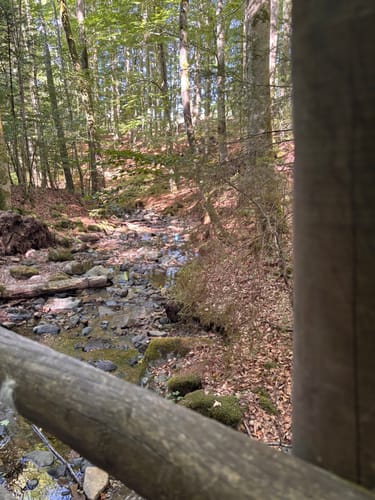 Kaskadenschlucht und Rotes Moor ab Sandberg