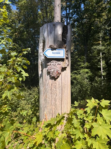 Kaskadenschlucht und Rotes Moor ab Sandberg
