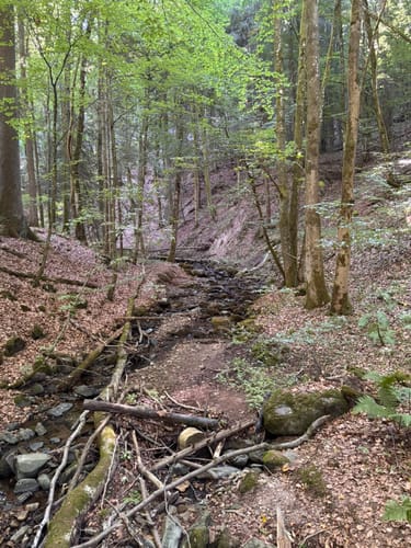 Kaskadenschlucht und Rotes Moor ab Sandberg