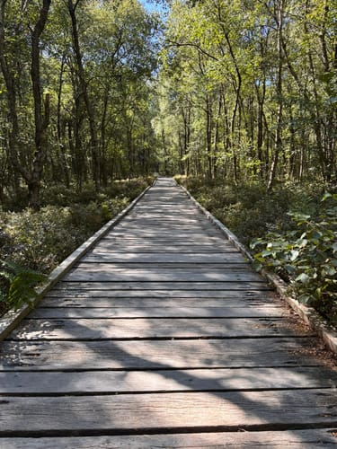 Kaskadenschlucht und Rotes Moor ab Sandberg