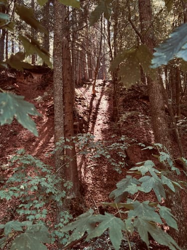 Kaskadenschlucht und Rotes Moor ab Sandberg