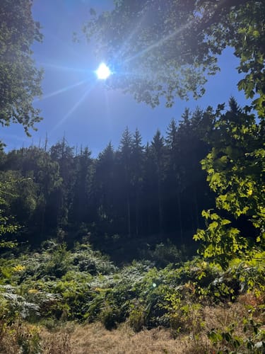 Dörenther Klippen (Teutoschleife)