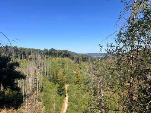 Dörenther Klippen (Teutoschleife)