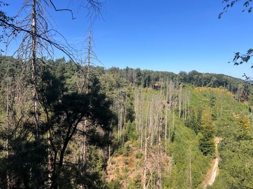 Dörenther Klippen (Teutoschleife)
