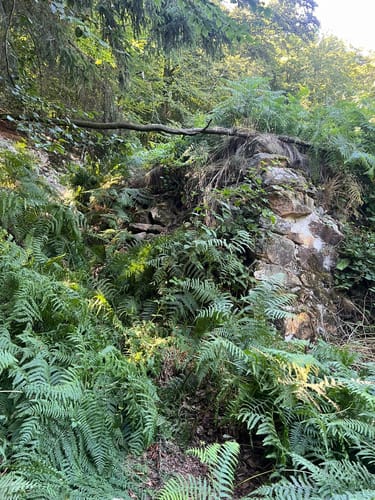 Dörenther Klippen (Teutoschleife)