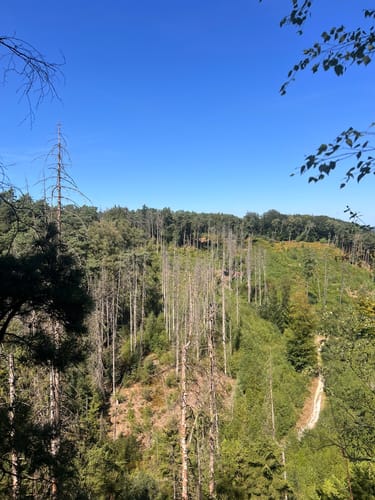 Dörenther Klippen (Teutoschleife)
