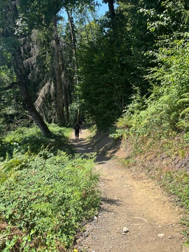 Starzlachklamm Rundweg