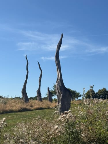 Luherheide: Försterteische - Staffpark