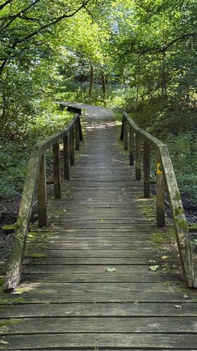 Luherheide: Försterteische - Staffpark