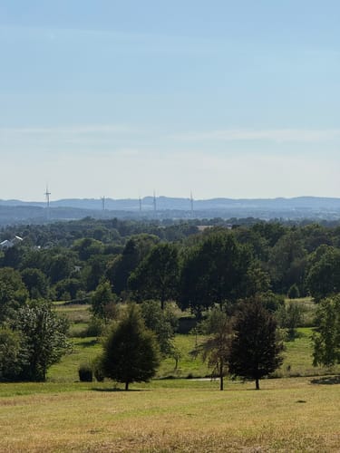 Luherheide: Försterteische - Staffpark