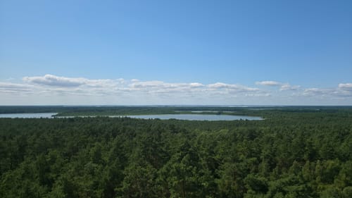 Müritz Westseite - Boek - Speck