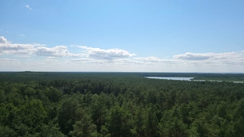 Müritz Westseite - Boek - Speck