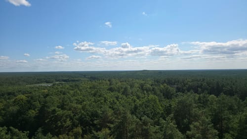 Müritz Westseite - Boek - Speck