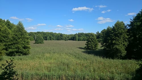 Müritz Westseite - Boek - Speck