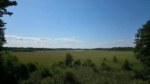Müritz Westseite - Boek - Speck