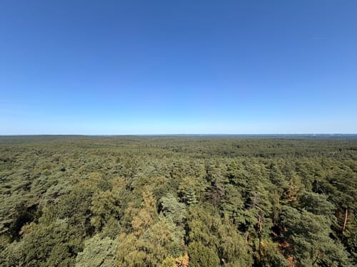 Große Haard Runde