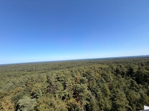 Große Haard Runde